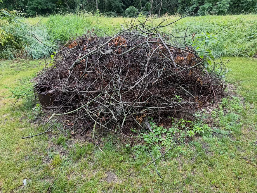 A large pile of cut branches and dead leaves at the edge of a lawn